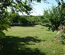 Der Garten