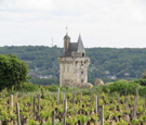 Wein und Keller
